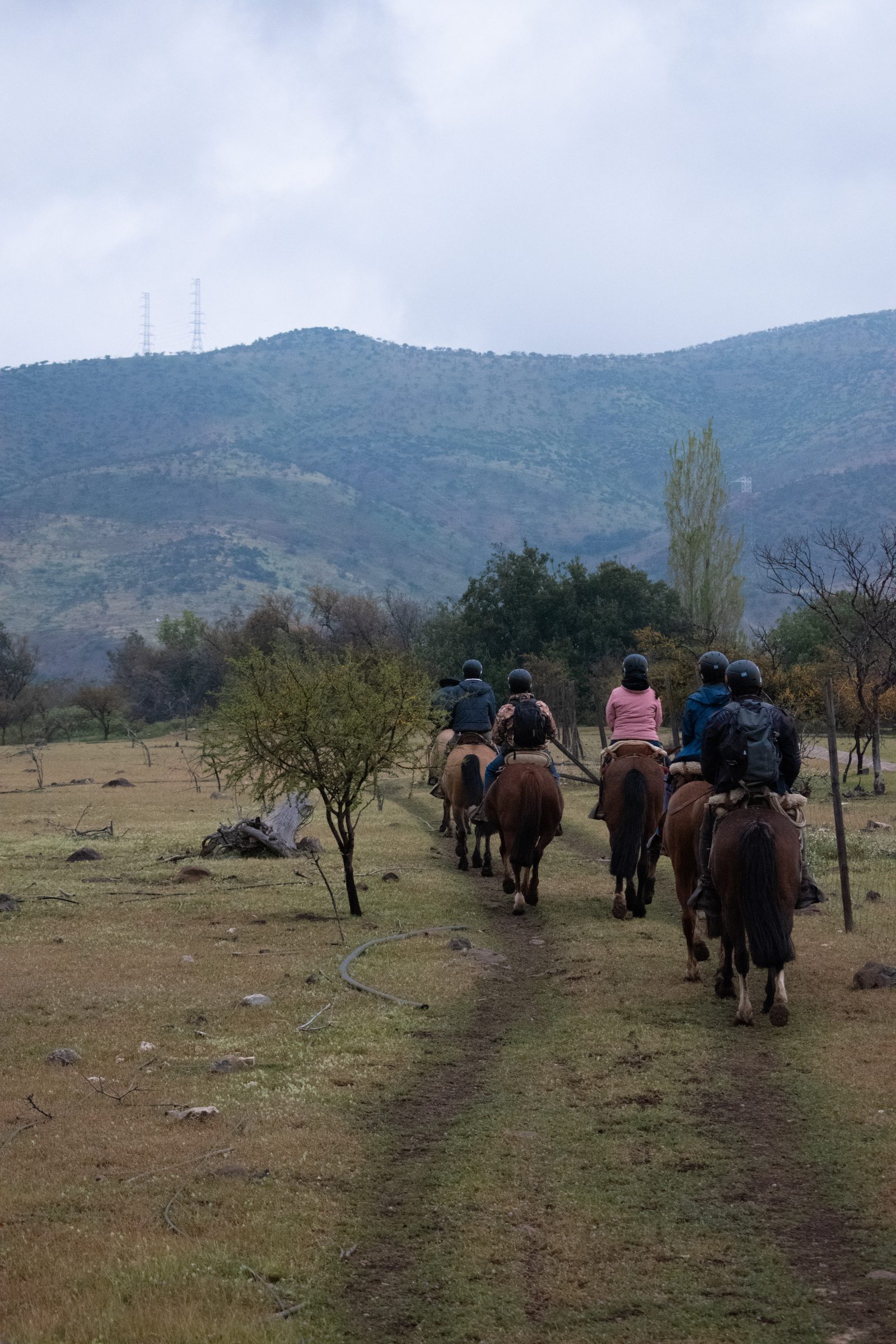 Cabalgata