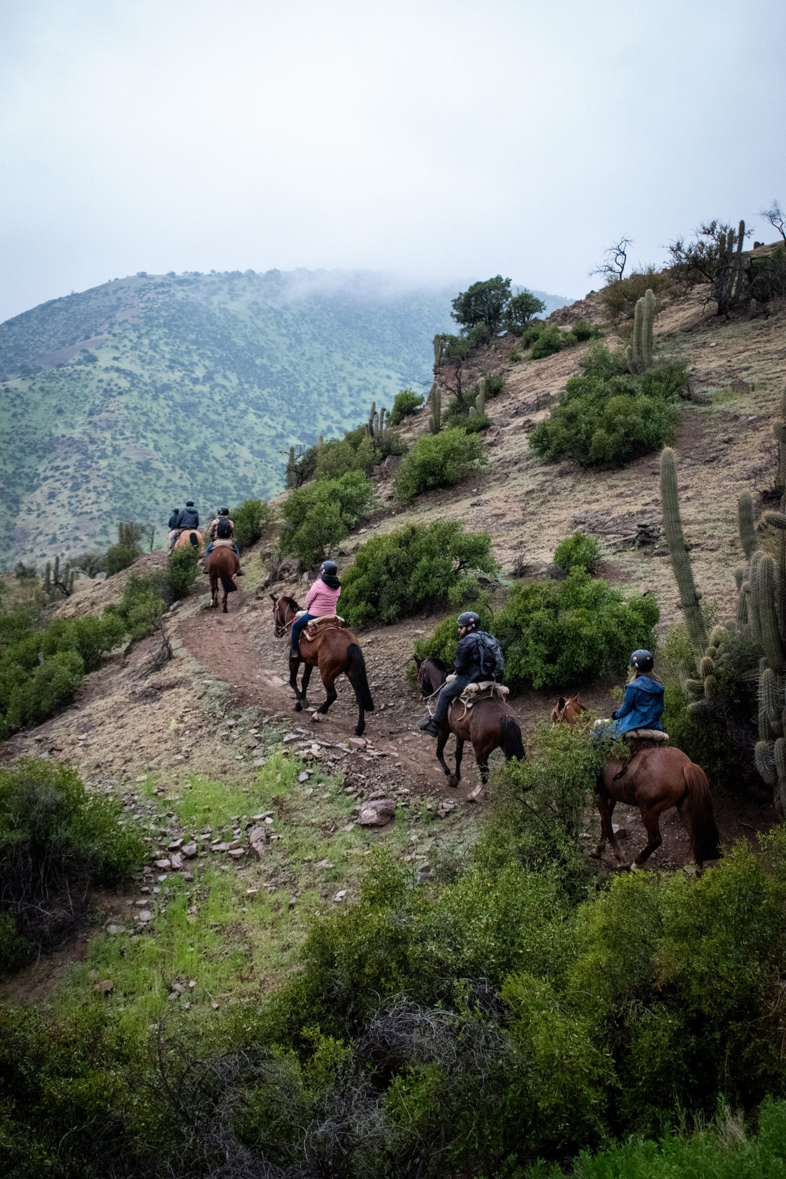 Cabalgata